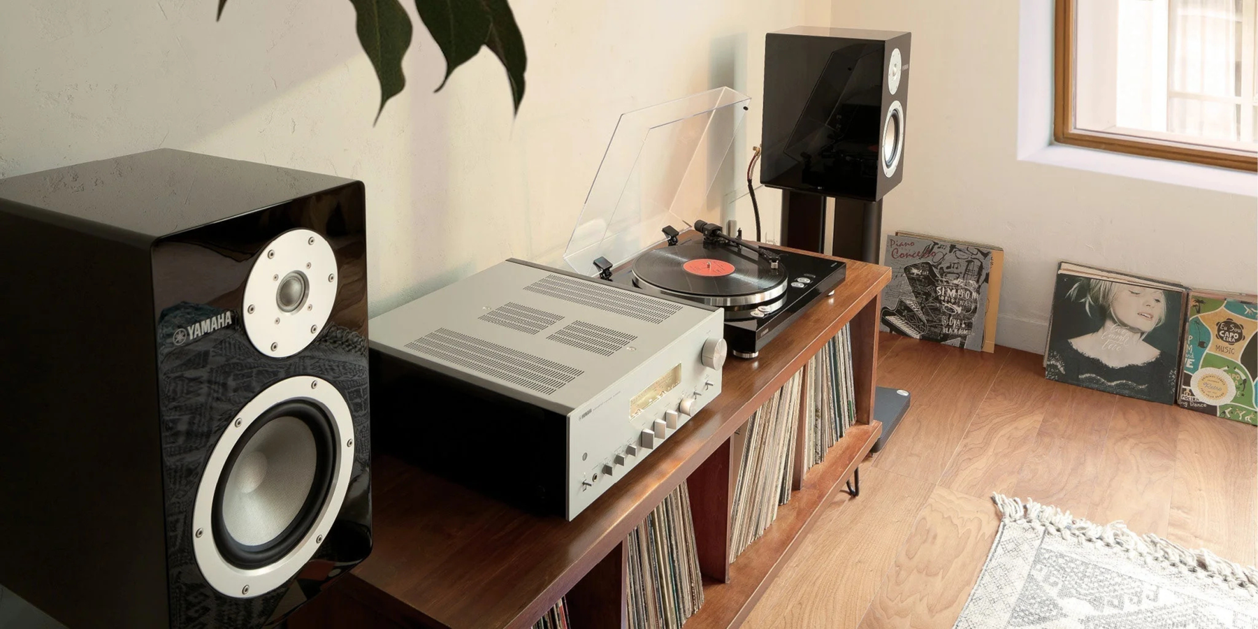 Les 5 piliers de l'écoute pour audiophile | SONXPLUS Rivière-du-Loup