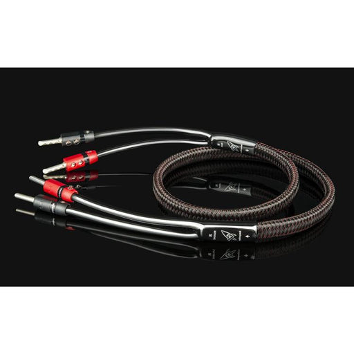 Audioquest Rocket 33 | Câble pour Haut-parleurs - 8 pieds - BFAS-SONXPLUS Rivière-du-Loup