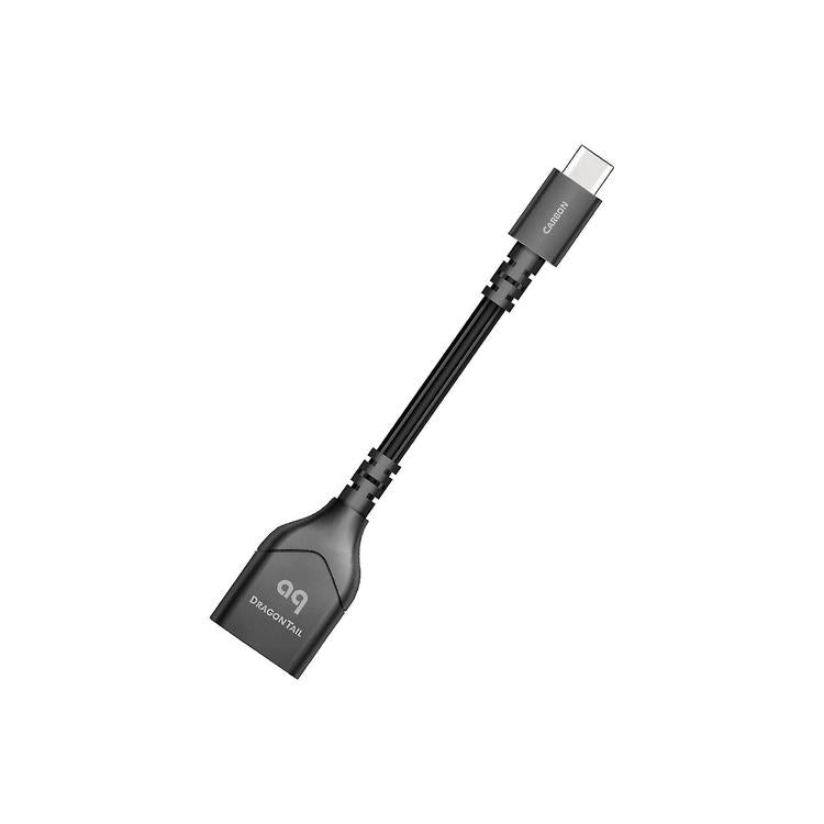 Audioquest DragonTail | Câble USB mâle à femelle - USB 0,112m - Noir-SONXPLUS Rivière-du-Loup
