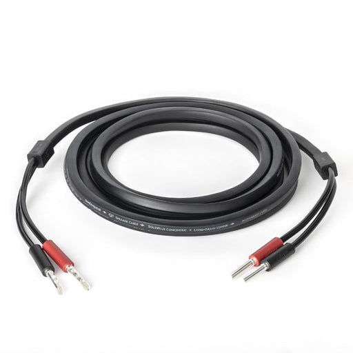 Audioquest Q2 | Câble haut-parleur - Conducteur interne en cuivre à grain long (LGC) - 10 Pieds-Sonxplus Rivière-du-Loup