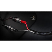 Audioquest Q2 | Câble haut-parleur - Conducteur interne en cuivre à grain long (LGC) - 10 Pieds-SONXPLUS Rivière-du-Loup