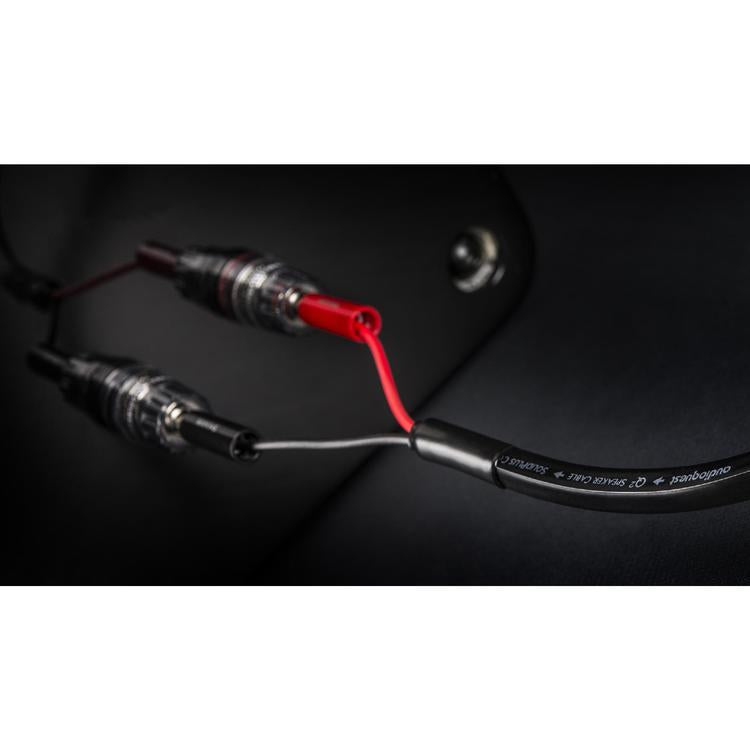 Audioquest Q2 | Câble haut-parleur - Conducteur interne en cuivre à grain long (LGC) - 10 Pieds-SONXPLUS Rivière-du-Loup