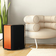 Paradigm Signature SUB 2 | Caisson de graves - 9000 Watts - Cerisier lustré-Rivière-du-Loup